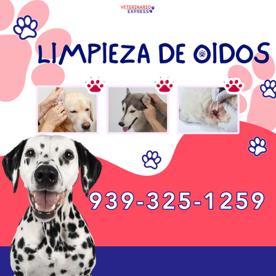 LIMPIEZA OIDOS