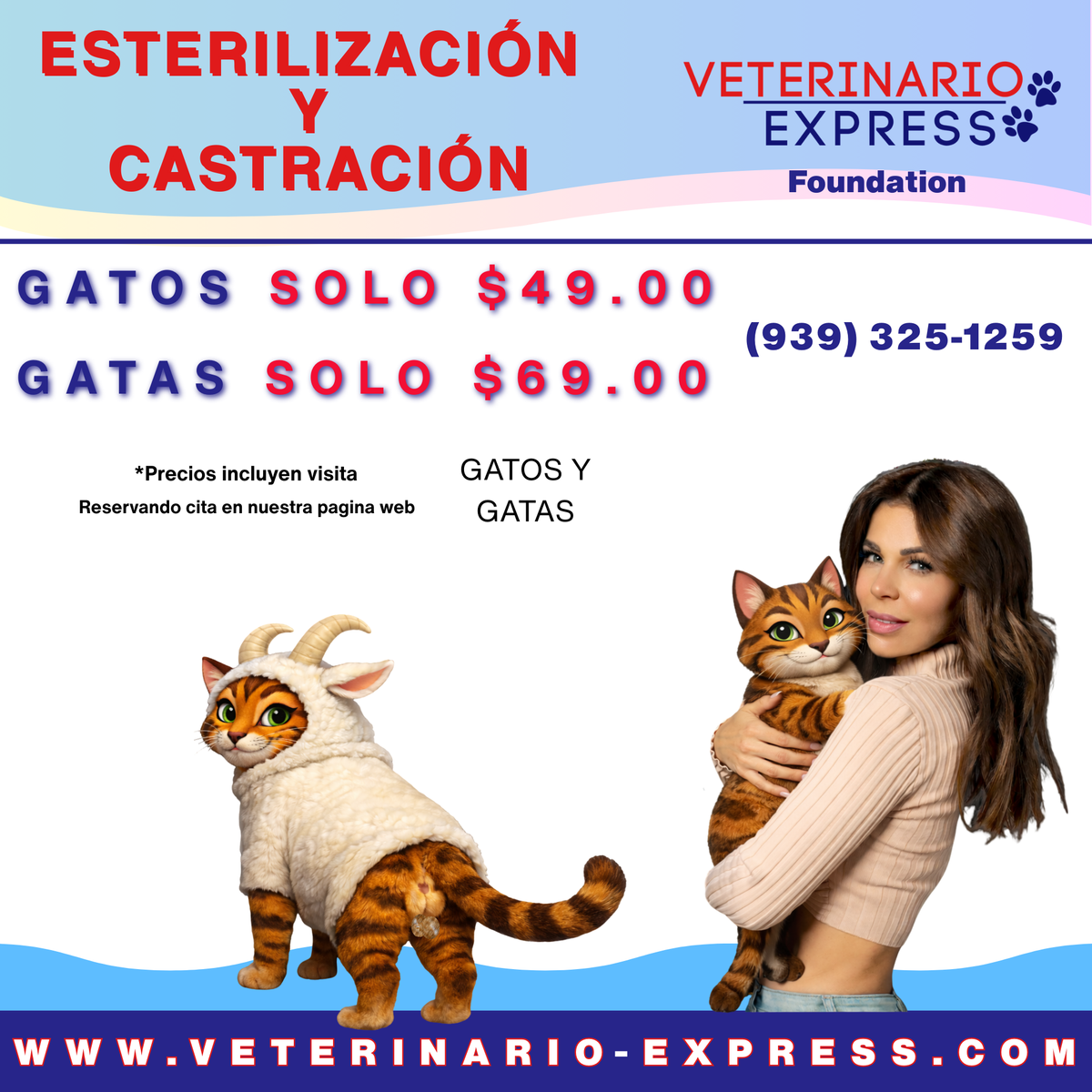 Gato Castratón Bayamón