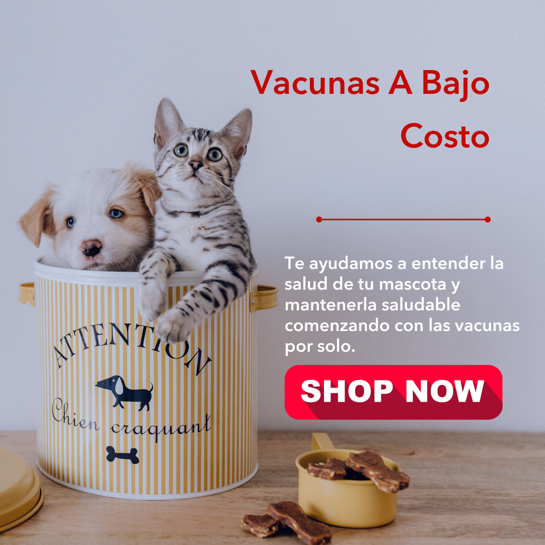 A Bajo Costo Vacunas Bayamón