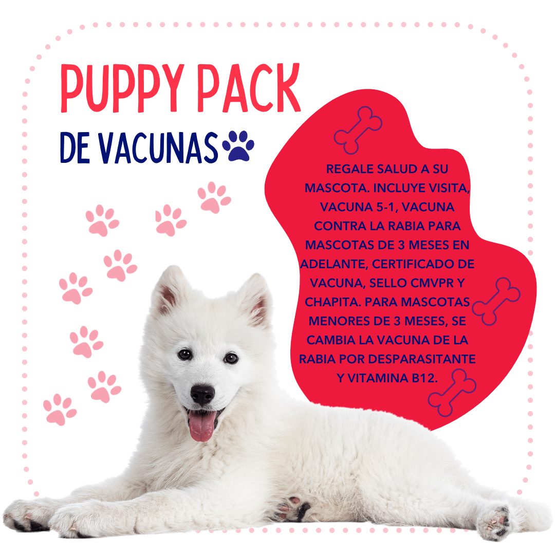 Pack de Vacunas para Cachorros